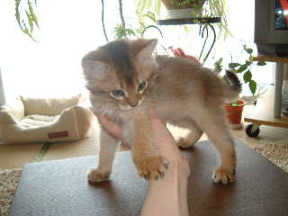 2005,4,22はじめての全身写真