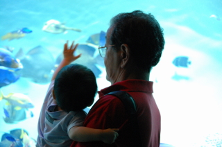 水族館１