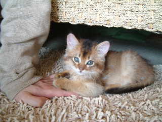 2005,4,23チビッコ