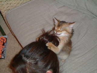 2005,4,24髪が好き