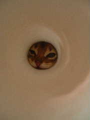 2005,4筒をのぞく