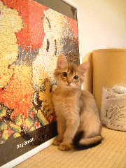 2005,5,25絵の前でおすまし