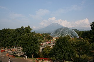 s-IMG_0488.jpg