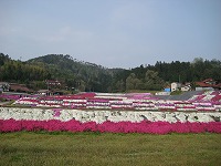 s-IMG_1367.jpg