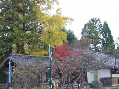 清涼寺の紅葉.JPG