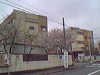 小学校.jpg