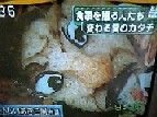 ふじいあきら風弁当-0