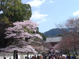 4-6-醍醐寺。.JPG