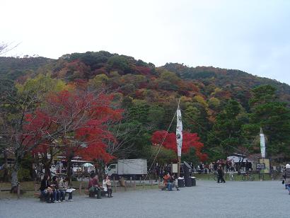 嵐山-中州からの紅葉.JPG