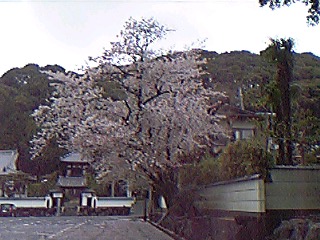 万福寺.jpg