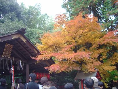 嵐山-野宮神社-2.JPG