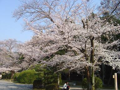 随心院-1.JPG