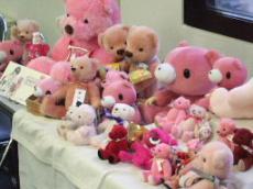 051016ピンクマ牧場