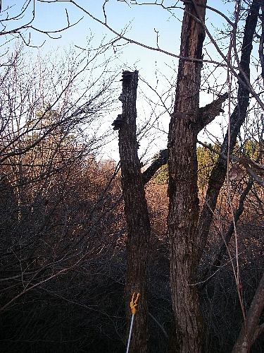 IMGP0019.jpg