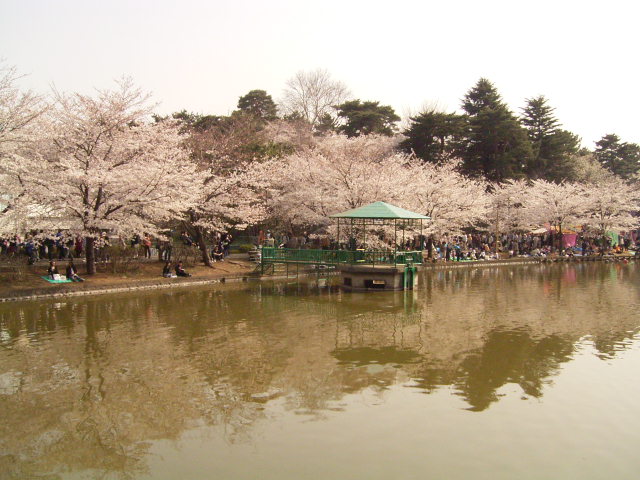 20060331-3