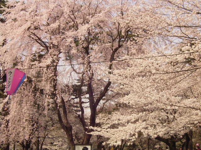 20060331-5
