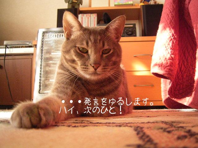 20060227-2