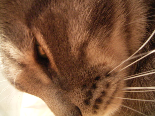 20060218-3