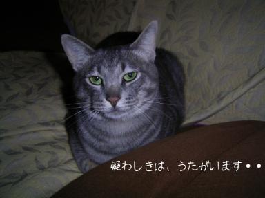20060227
