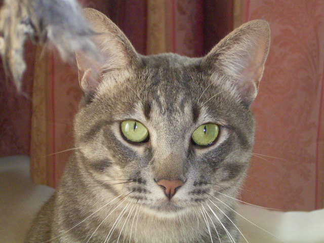 20060303-7