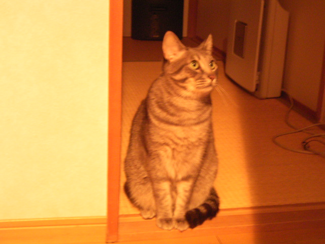 20060223-6