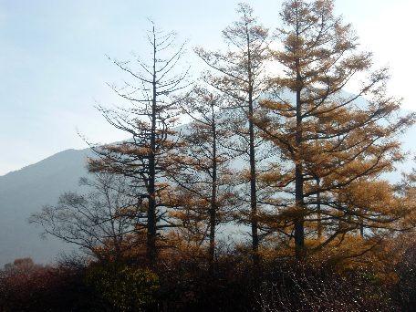 変換 ～ PA170028.jpg