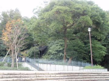 変換 ～ 008.jpg