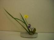 日本のフラワーS1