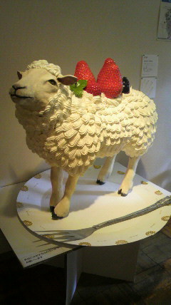 sheep