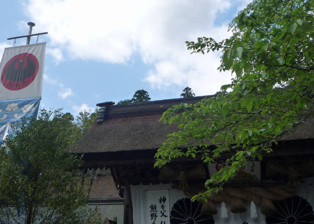 P10100340001.jpg