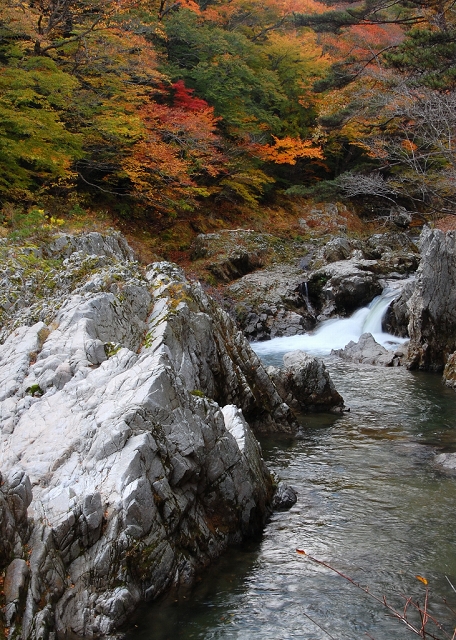 夏井川.jpg