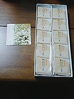 野路菊の里2