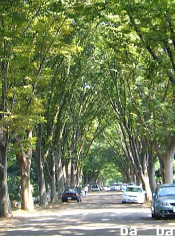 cimg8309.jpg