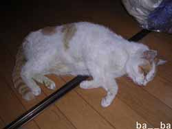 DSCN0198.JPG