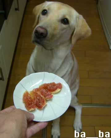 cimg8290.jpg