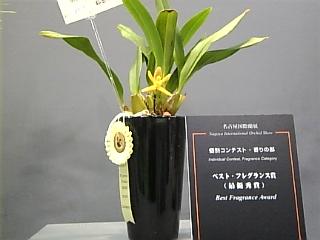 ベストフレグランス賞