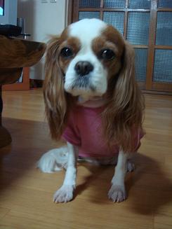 2007-10-17 021.JPG