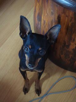2006-12-07 015.JPG