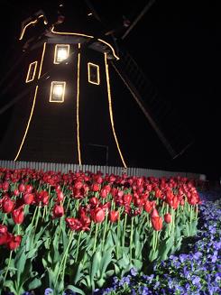 2007-4-13 197.JPG
