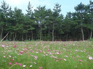 2007-07-25 003.JPG