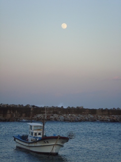 DSC03887.JPG