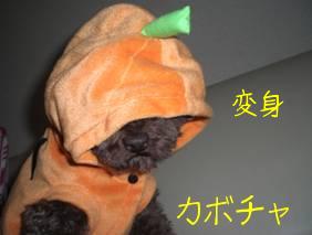 ハロウィン