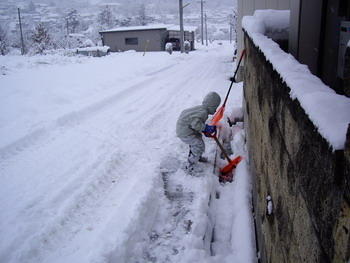 雪の日.jpg