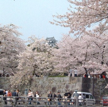 春高楼の花の宴～♪