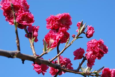 画像 470 のコピー.jpg