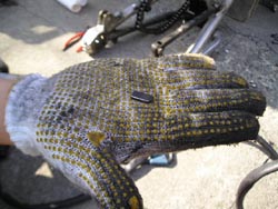 03010100.p1010012~1 のコピー.jpg