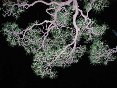 03010100.p1010002~3 のコピー.jpg