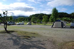 画像 079 のコピー.jpg