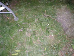 画像 186 のコピー.jpg