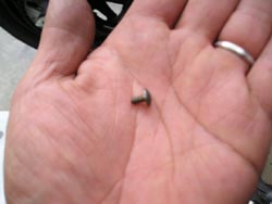 03010100.p1010030~1 のコピー.jpg